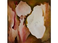 楓紅之夢藏品圖，第1張